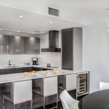 Boston Flagship Warf Contemporary Kitchen