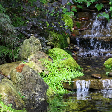 Backyard Pond - 2018 Awards of Excellence Winner