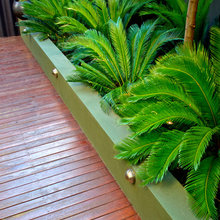 Exterior Ideas