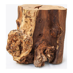 Log side table - elm stump - Coffee Tables & Side Tables