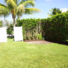 original backyard