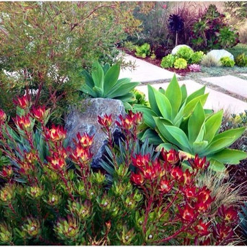 Gardens That Reflect Good Feng Shui