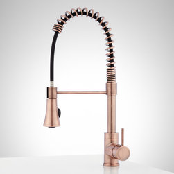 Steyn Kitchen Faucet With Spring Spout - Kitchen Faucets