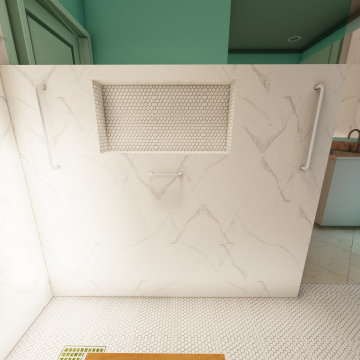 Handicap Bathroom Reno