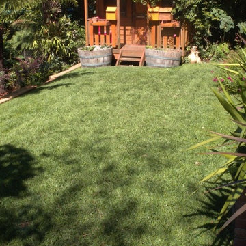 Hills garden, Menzies Creek