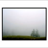 "Lost In A Fog, 16X20 Frame, Landscape, Nature" Artwork