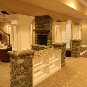 Basement Remodel