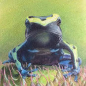 April Sigmon's photo
