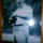 webuser_2623904