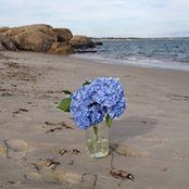 Madeline Friedrichsen's photo