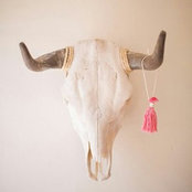 Melissa Kirkham's photo
