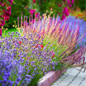 Seasoanal Planting
