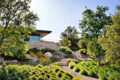 Inspiration for a contemporary landscaping in San Francisco.