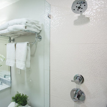 Reston Basement Bathroom Retreat