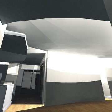 Chicago Condo Renovaion