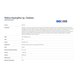 catalase - Products