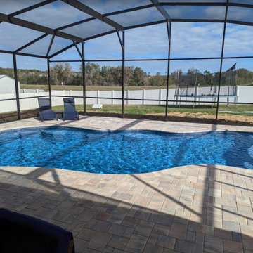 Lagoon Style Pools
