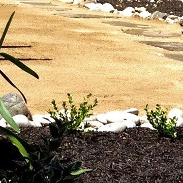 Casual & Charming Back Yard: Demo Repurpose New Life: Low Maintenance Plant Beds
