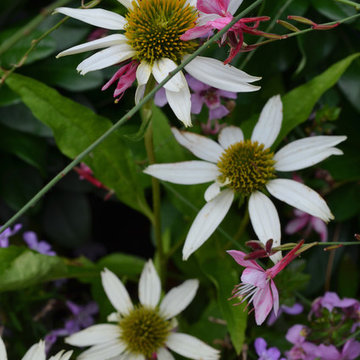 Upper West Side Terrace Garden