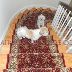 Pets on Stairs - Hall And Stair Runners