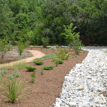 Drought tolerant and wildlife friendly front yard transformation