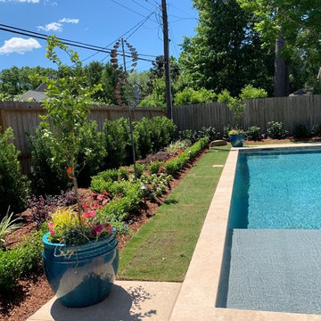Backyard Landscape Enhancement