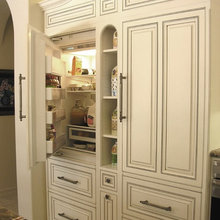 APPLIANCE HANDLES