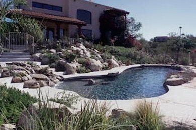 Southwest pool photo in Phoenix