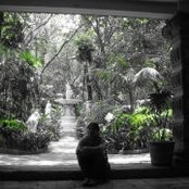 Lux Qaddaffi's photo