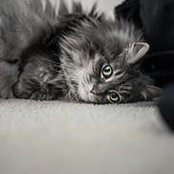 Jennifer Smith's photo