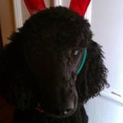 Nancy Perry's photo