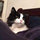 lyn_grimmig