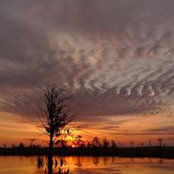 Hannah Sparks's photo