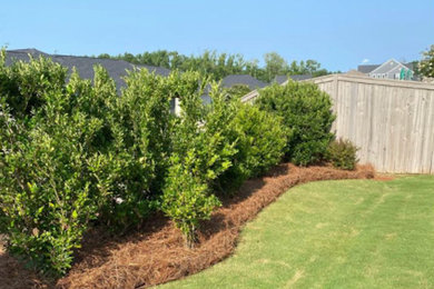 This is an example of a transitional landscaping in Richmond.