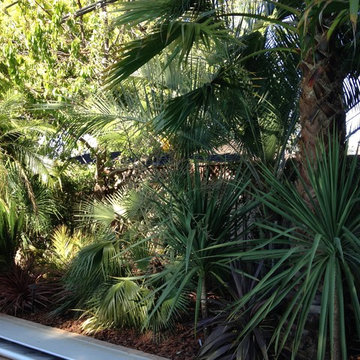 Asain Garden