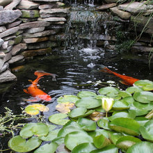 Garden Ideas