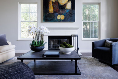 Design ideas for a modern living room.