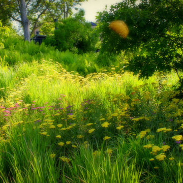 The Meadows at 2 Holes of Water East Hampton NY