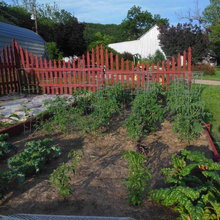The Garden