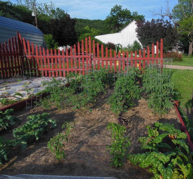 Farmhouse Landscape gosherd