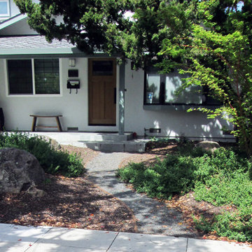 Cupertino, California Low Water Garden Design & Lawn Replacement