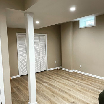 Basements alteration and renovation - Succasuna