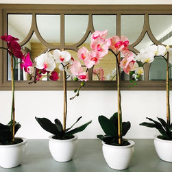 Potted orchids - Artificial Flowers, Plants & Trees