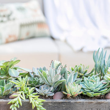 Home Depot Patio Style Challenge