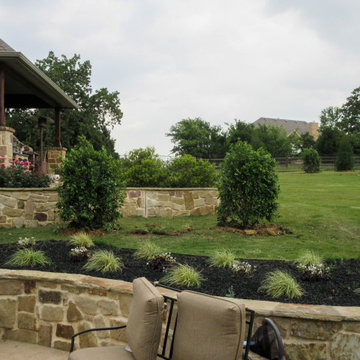 Evergreen Trees & Shrubs