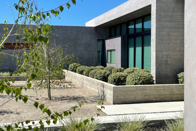 Moderner Garten in Sacramento