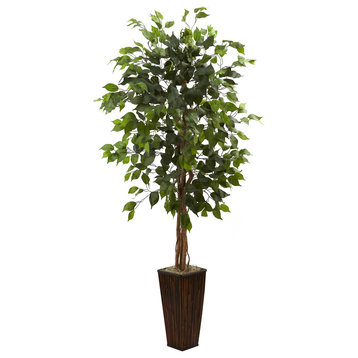 5.5' Ficus Tree With Bamboo Planter