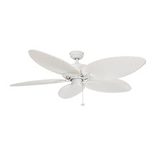Palm Coast Sale