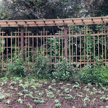 stepped shoji screen trellis