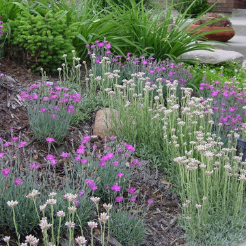 Plant Combinations